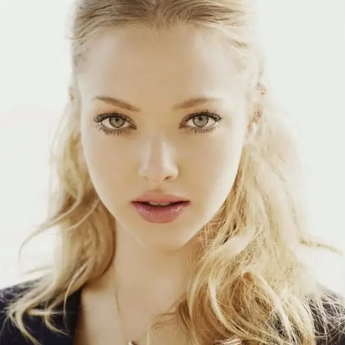 portfolio item image