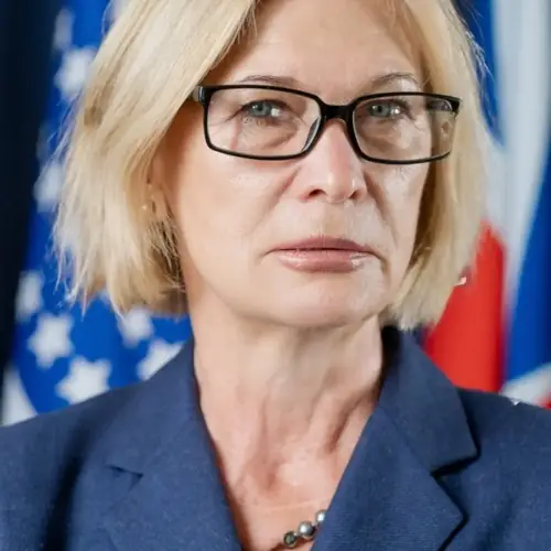 portfolio item image