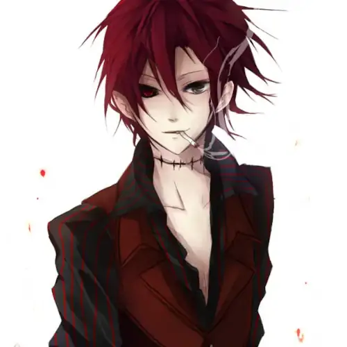 portfolio item image