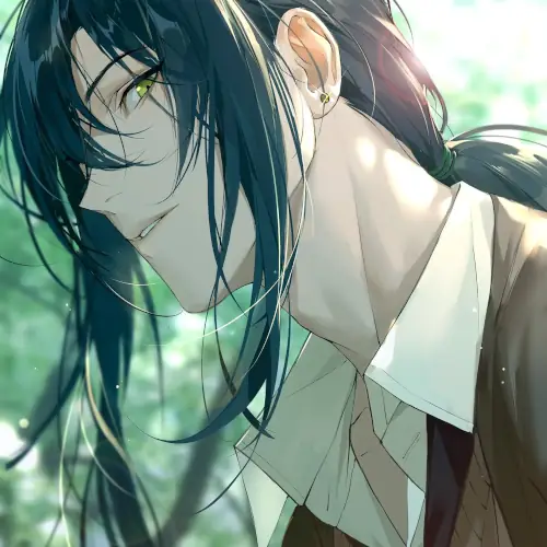 portfolio item image