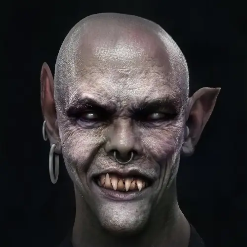 portfolio item image