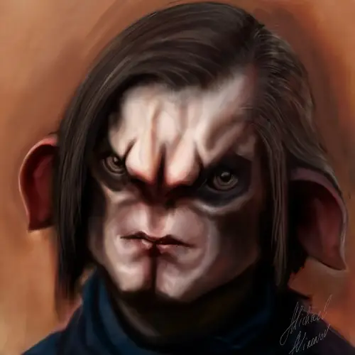 portfolio item image